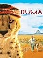 play video on Amazon Instant Video