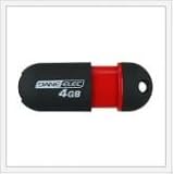 Dane-elec 4Gb Portable Memory