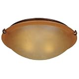 2Light Bronze