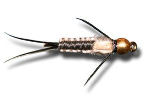 BH Woven Stonefly Nymph - Black Fly Fishing Fly