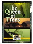The Queen of Trees