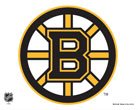 Boston Bruins Logo 5x6 Cling Decal