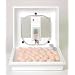 9200/1602b Still Air Incubator