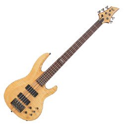 B 255 Bass Guitar Natural Gloss