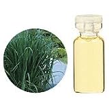 生活の木 レモングラス エッセンシャルオイル 50ml Eoil_lemong50の画像