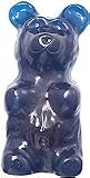 World's Largest Giant Gummy Bear Blue Raspberry [Misc.] by goodieGumDrops Best Prices