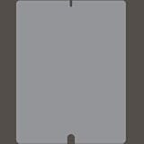 NEW iPad 2 Original Screen Only (Bags & Carry Cases)