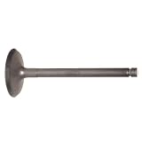 Auto7 612-0065 Intake Valve by Auto7