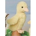 Slicker Baby Duck By Douglas Cuddle Toy