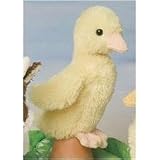 Slicker Baby Duck 6