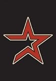 Houston Astros Garden / Window Flag