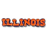 Illinois Fighting Illini Pillows - Plush Spirit Name
