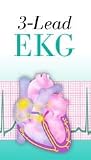 3-Lead EKG (117) CD-ROM