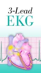 3-Lead EKG (117) CD-ROM