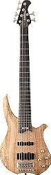 Washburn CB16 with Hardshell Case - Spalted Maple 6-string Electric Bass