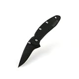 K.O. Chive, Black 410 Stainless, Black Blade, Plain