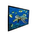 Elite Screens R100WH1 ezFrame Fixed Projection Screen (100" 16:9 AR)(CineWhite)