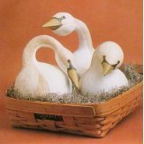 Swan Gourd 10 Seeds EASY TO GROW!