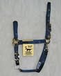Hamilton Deluxe 3/4" Nylon Arabian Horse Halter with Adjustable Chin and Snap, Navy, Small/Cob (500-800 lbs)