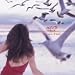 weep~maki ohguro The Best Ballads Collection~