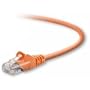 Belkin Network Cable - 6 ft ( A3L791-06-ORG-S )