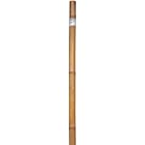 Bond 91015 5-Foot by 1-1/4-Inch Super Bamboo Poles