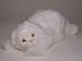   - White Persian Kitten, Lying Down - Lifelike Plush|One Size - 14 inches