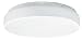 21R0vyddoxL. SL75  Ceiling Lighting Fixtures