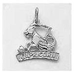 Capricorn Charm