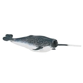 Narwhal, Monterey Bay Aquarium by Monterey Bay Aquarium