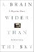 A Brain Wider Than the Sky A Migraine Diary [HC,2009]
