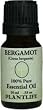 Bergamot 100% Pure Essential Oil - 10 ml
