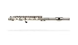 Gemeinhardt 4SP Piccolo Flute