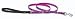 Lupine Small Dog Leash - Wing It 4 ft.