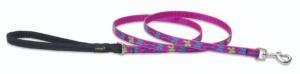 Lupine Small Dog Leash - Wing It 4 ft.