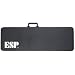 CVFF V Series Electric Guitar Case