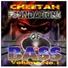 Foundations of Bass