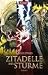 Zitadelle der Stürme (Kaltfeuer, #2)