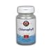 Chlorophyll Tabs - Bottle of 100