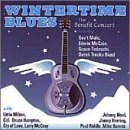 Wintertime Blues: The Benefit Concert by  Gov't Mule 