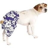 Casual Canine Hibiscus Shorts (Large)