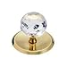 Amerock Traditional Classics 2 1/2 Knob Backplate Polished Brass