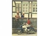 Postkarte (nicht frankiert) MOTIV: SR4-3 Sperber am Gartenzaun