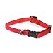 Aspen Pet 3/8 Single Ply Nylon Adjustable Dog and Cat Collar