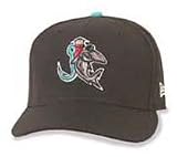 Minor League Baseball Cap - Jupiter Hammerheads Home Cap by New Era