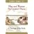 Man and Woman He Created Them: A Theology Of The Body