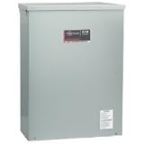 Briggs&Stratton 200 Amp NEMA 3 Indoor or Outdoor Transfer Switch