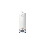 Fury 40 Gallon Flammable Vapor Ignition Resistant Natural Gas Professional Series Water Heater