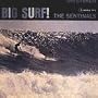 Big Surf