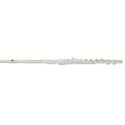 Trevor j. james - promotion ! flute traversiere trevor james privilege ii